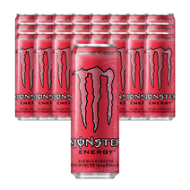 몬스터에너지 파이프라인 펀치 355ml x 24캔, 단품