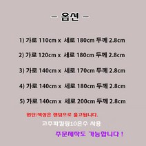 나드리몰 그랜드스타렉스 12V 두께2.8cm전기장판(투난방) 캠핑카전기장판 차박전기매트 국내생산, 1)110x180 (두께2.8cm) +3구소켓1개