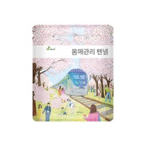 아름드레 몸매관리 허브차, 몸매관리 삼각티백 펜넬, 100티백, 1g