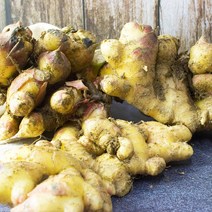 흙생강 1kg(박스), 1개