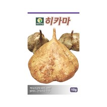멕시코 감자 히카마 씨앗 10g 얌빈 종자 샐러드 간식, 단품
