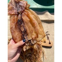 [파지포항오징어1k리뷰좋음] 오징어엄마 국내산 마른 오징어 건오징어 건조오징어, 왕특대 10마리(1kg)