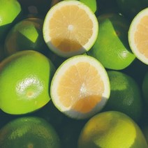 자몽 메로골드 청자몽 미국산 과일 캘리포니아 20개, 상세페이지 참조, 상세페이지 참조, 상세페이지 참조