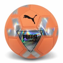 푸마 케이지 축구공 5호 08369702