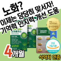 기억력 인지력 건강 포스파티딜세린 은행잎 추출물 플라보노이드 빌로발라이드 징코 진코 개선 도움 감퇴 감소 예방 40 50 60 대 중 장 노 년층 노인 어르신 부모님 사은품, 4개월 (1정당 490원) (21,100원 할인), 4개