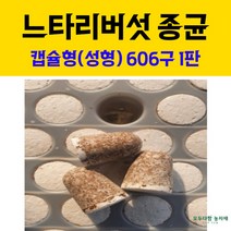 땡스팜 친환경 무농약 느타리버섯 2kg 산지직송, 1박스