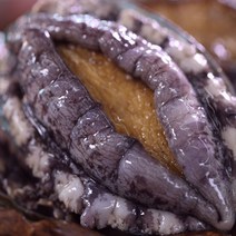 [파격할인][[해신수산]완도활전복 특특대 놀라운사이즈 6-8미 1kg 산지직송(평일 오전 9시 당일출고), 1kg(6-8미), 1개