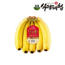 바나나3.9 관련 상품 BEST 추천 순위