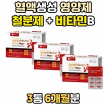철 철분제 비타민 D B 혈액 생성 칼슘 흡수 영양제 5중 복합 기능성 B12 D3 마그네슘 글루콘산동 태아신경관발달 헴철 철분 엽산 멀티 구리 종합 대사 에너지 생성 추천 구연산