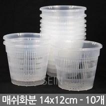 (10개) 플라스틱 투명 매쉬 화분 11호 - 메쉬 플분 슬릿 난 분 식물 분재 삽목 통기 원형 난분 그물 다육 선인장 인테리어