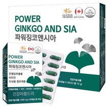 파워 징코앤시아 120캡슐/은행잎추출물 혈행개선 아연 비타민DB, 1통, 72g, 120정