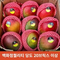[23년 대박특가] 프리미엄 페루 애플망고 당도보장 4kg 9수, 애플망고 4kg 9수 1박스
