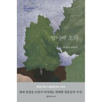 밤이여 오라 (큰글자도서) : 제9회 제주4·3평화문학상 수상작, 이성아 저, 은행나무