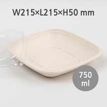[BSQ-750] 펄프용기 (100개 셋트), 1봉, 100개 셋트