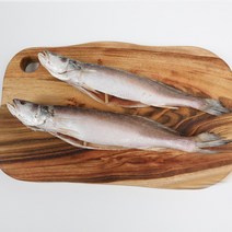 자갈치닷컴 반건조 민어조기(뾰조기) 3P 32~34cm전후 3마리 조기