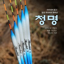 미라클 청명 내림찌 중층내림장비, 1호/310mm