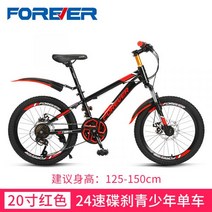 몽구스 mtb 산악 티타늄자전거 다혼스피드D9 제트스트림 사바파이크 k3 팻바이크 티티카카 자이언트, 20 인치, A1 24단