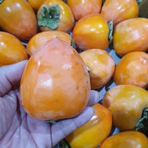 과일짚 햇 대봉감 홍시 대봉 10kg 5kg, 5kg 중소과 21-25