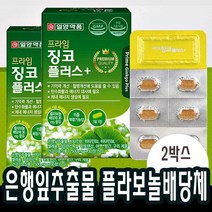 징코 기억력 혈액 순환 개선 은행잎추출물 두뇌 영양제 약2개월(2박스)