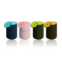 애니클리어 수분 팡팡 휴대용 물뿌리개 가습기 HM60, PDB-HM60 그린