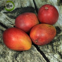 제주애플망고 백화점용 페루 태국 브라질 수입산 골드망고 애플망고 3Kg 5Kg, (수입산:항공) 애플망고(최상품) 대과 4Kg