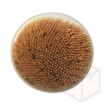 마켓프리 이쑤시개 1통 600개입 이쑤시게 과일꼬지 가는요지 과일꽂이 얇은요지 대나무요지 식당이쑤시개 일회용이쑤시개 치실대용