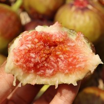 전라남도 햇무화과 쫀득 달콤한 생 무화과 1kg 2kg 홍무화과, 전라남도 햇 무화과 2kg