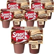 스낵팩 푸딩 밀크 초콜릿 2개입+초콜릿 퍼지 2개입 세트, 5개