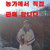 문경오미자 유정농원 오미자청 원액1000ml 당일발송, 1000ml, 1개입, 1개