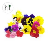 [허브아이] 식용꽃 혼합 30송이 먹는꽃