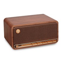 브리츠 BR-Vbutton 하이엔드 무선 블루투스 스피커, 브리츠 BR-Vbutton 하이엔드 무
