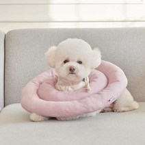 두유레디 오가닉 반려동물 넥카라, 라벤더