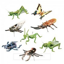 뜯어만드는세상 곤충8종, 단품