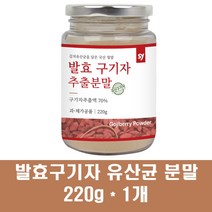 발효구기자 추출분말 청양구기자 유산균 가루 차 고지베리 국산 구기자추출액 건구기자 베타인 베타카로틴 말린 김치유산균 플란타럼, 1개