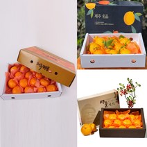 꿀꿀도매 제주 프리미엄 한라봉 천혜향 레드향 선물세트 설 추석 연말 과일 선물세트, 3KG 대과(06-09과 내외)