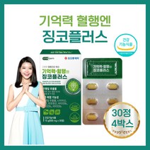 징코 플러스 포 메모리 진코 찐코 빌로바 은행잎추출물 150mg 플라보놀배당체 36mg 갱년기 50대 60대 70대 식약처인증 건강기능식품 알약케이스증정, 30정 3박스 3개월분