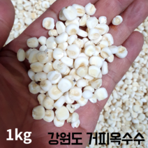 국산 100% 강원도 옥수수 범벅 거피옥수수 쌀 알 갱이 강냉이 알알이 찰 산지직송 껍질 깐 제거 벗긴 미백 흑미 흑찰 무첨가 1키로 1kg, 말린옥수수 1kg (미백)