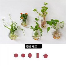 유리 꽃병 녹라수배 식물 벽 작은 프레시 미니 스몰 용기 걸이 어항 화분 벽 걸이 투명, 콤비세트1+헴펜슬*5+스톤*5