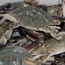 국내산 서해 연평도 급냉 꽃게 속이 꽉 찬 알배기 암꽃게 숫꽃게 1kg 2kg, 연평도 소자 숫꽃게 1kg(5~7미)