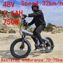 전기자전거 전기자전거렌탈 20 인치 타이어 48V 9.6AH 750W 강력한 모터 산악 자전거 오프로드 전원 보조, 01 grey, 한개옵션1