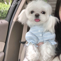 애견옷 강아지 고양이 티셔츠 강아지 여아 반팔, 푸른 색