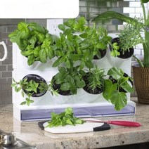 식물재배기 가정용 실내텃밭 화분 스마트팜 상추 바질 야채 키우기 홈 인테리어, 그린