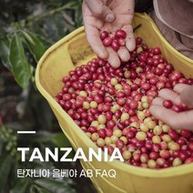 [생두] 탄자니아 음베야 AB FAQ 5kg