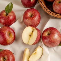 DMZ 청정사과 아리수 부사 시나노골드, 1개, 선물용 5kg