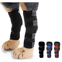 중대형견 슬개골 탈구 다리 관절보호대 M 2p 다리깁스 강아지슬개골보호대 시바견보호대, 블루