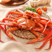 [산지직송]동해안 수율좋은 북방 홍게 5마리내외 2kg내외(프리미엄수율80%내외), 단품