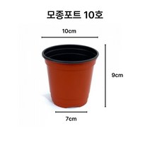 디안몰 모종포트 이색포트 10cm 100개