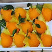 제주 가을이네 한라봉 5KG 프리미엄 선물세트 명절선물, 1박스, 5kg 선물세트 대과 (13-14과)