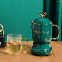 약탕기 가정용 업소용 한약 도자기 중탕기 대용량 홍삼 달임기 전기 탕약기 220V 800ML 미니 전기 스튜 컵, 01 Green