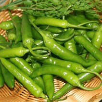 청양고추(상) 1kg 1박스 자연대로팜웨이